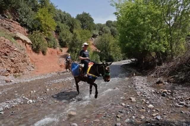 Riad Idar Ouirgane Εξωτερικό φωτογραφία
