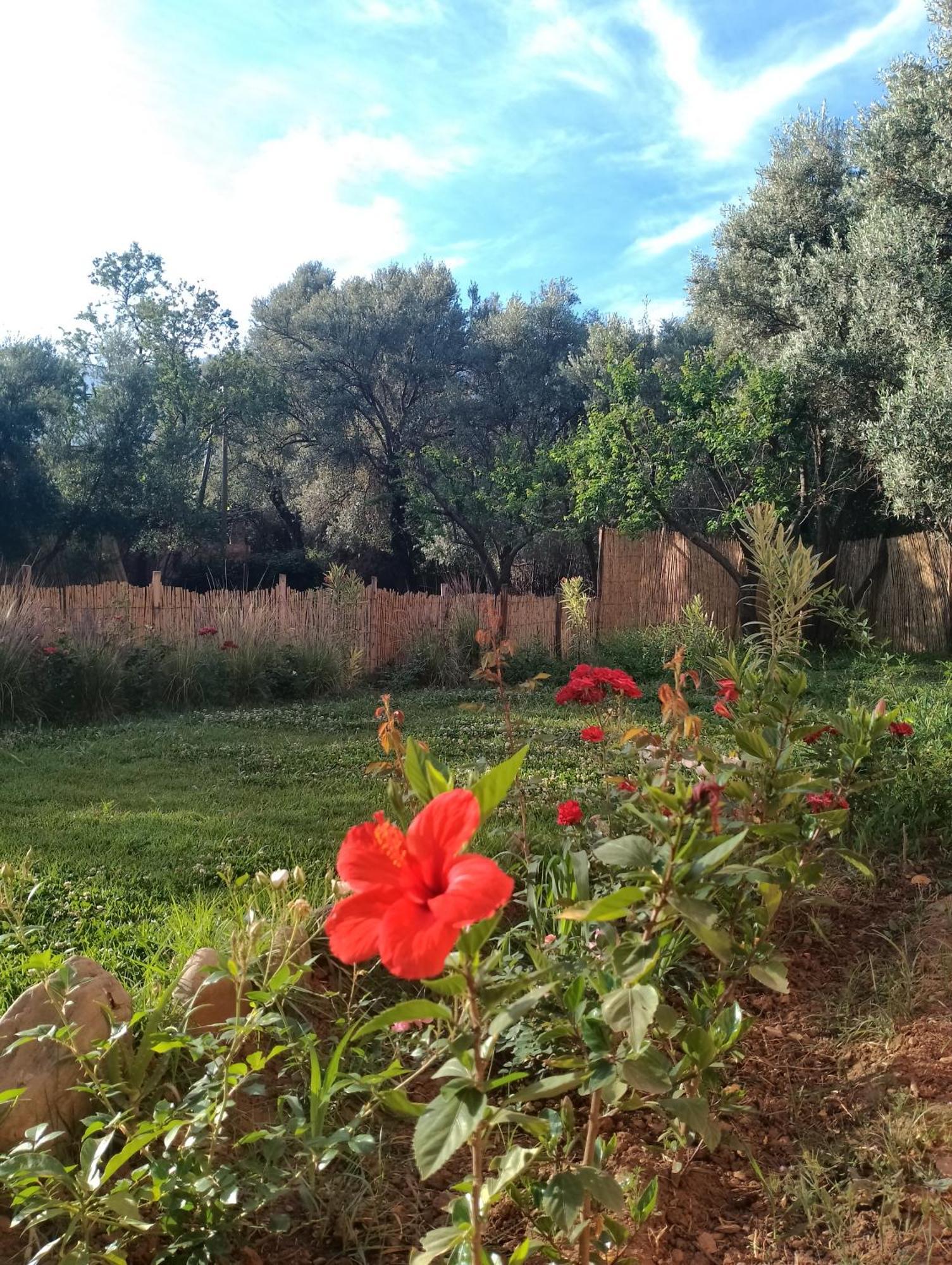 Riad Idar Ouirgane Δωμάτιο φωτογραφία